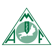 Associação Médica Fluminense